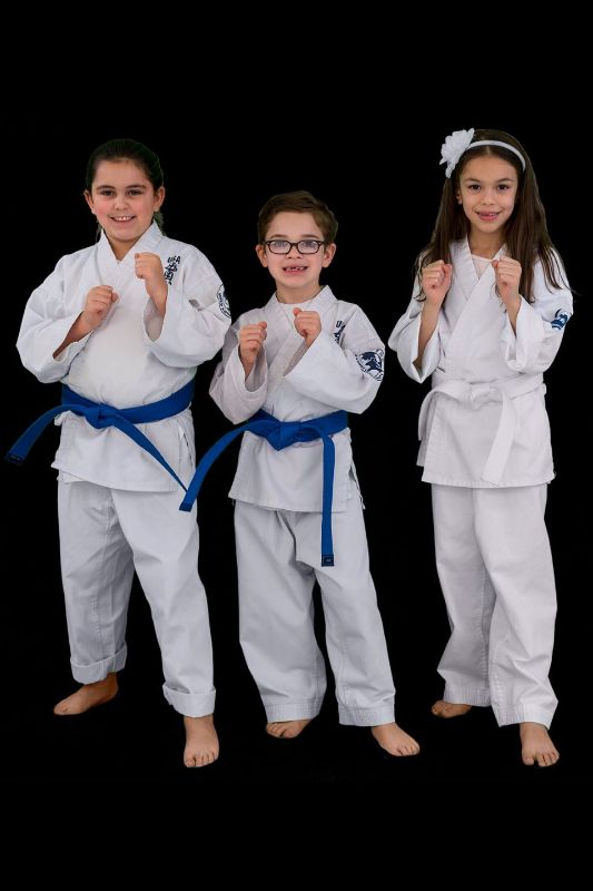 Karate para niños de nivel principiante