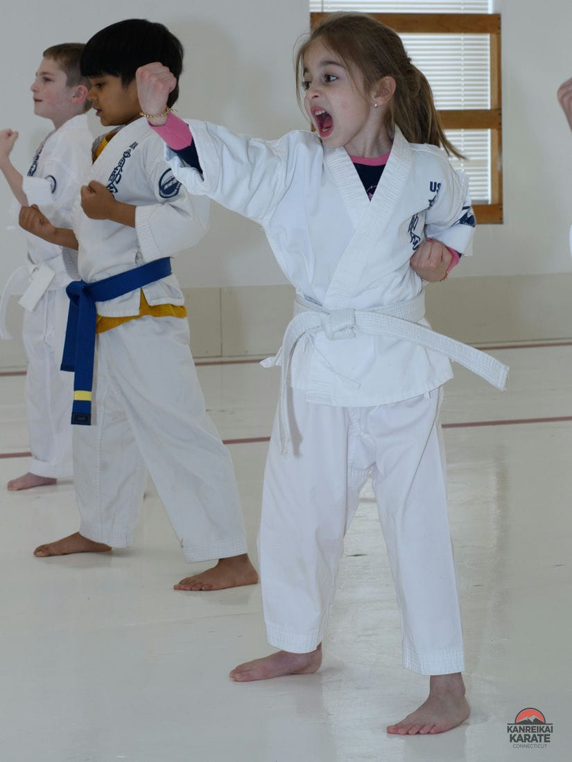 Children learning discipline and confidence through martial arts
