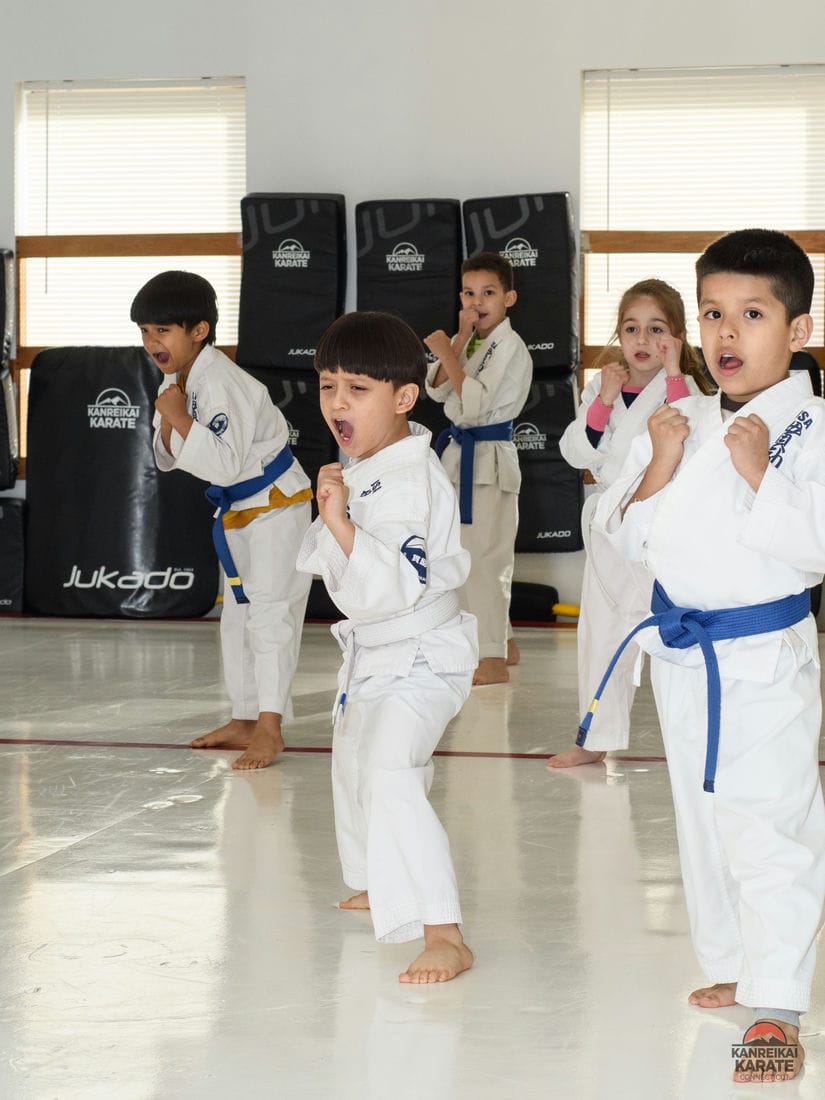 Benefits of Martial Arts for Kids at Kanreikai Karate of Connecticut