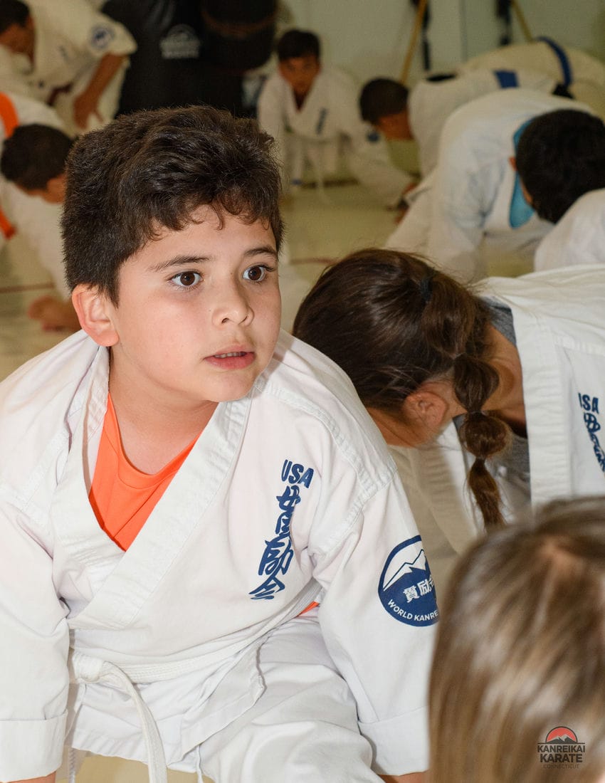 Extended benefits of martial arts training for children