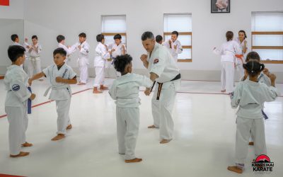 Benefits of Martial Arts for Kids