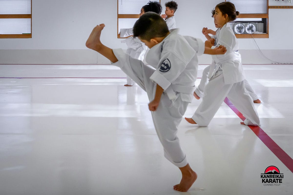 Back to School with Karate How Martial Arts Can Help Kids Transition - Kanreikai Karate of Connecticut (3)