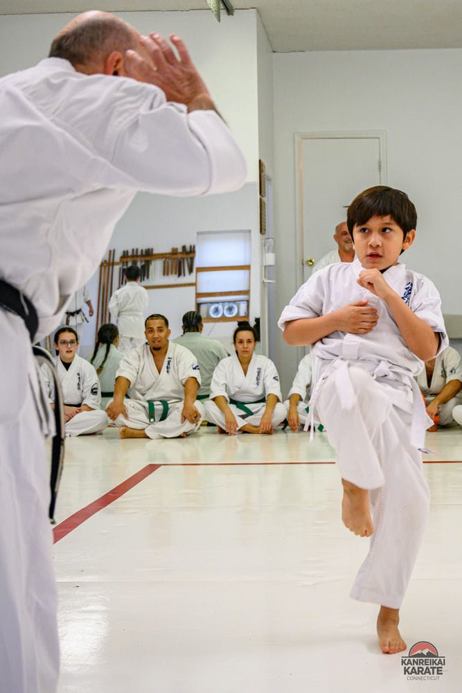 Is Karate Good For Self Defense - Kanreikai Karate of Connecticut (2)