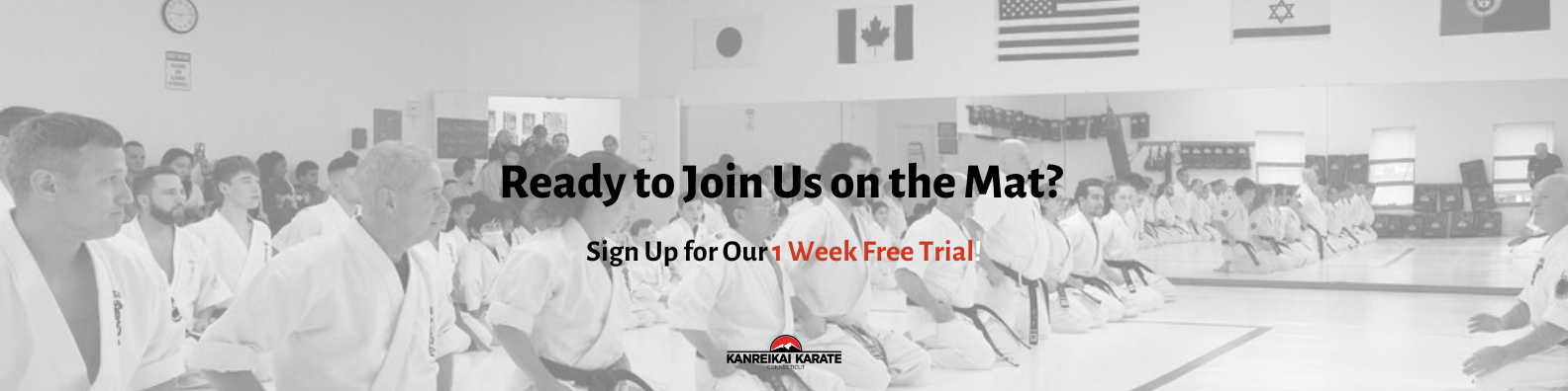 Kanreikai Karate of Connecticut - Blog CTA Banner
