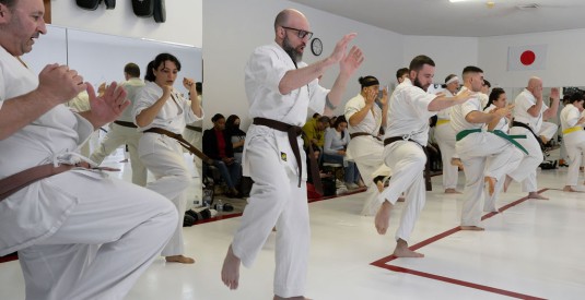 Martial Arts Training Improve Your Mental Health - Mental Benefits of Martial Arts Karate - Kanreikai Karate of Connecticut (2)