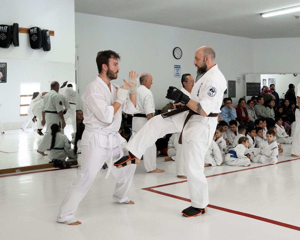 Why Parents Quit Karate for Their Kids Understanding the Reasons Behind the Decision (2)