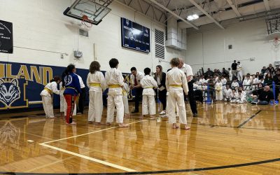 Incorporar los principios de las artes marciales a la vida cotidiana a través del kárate