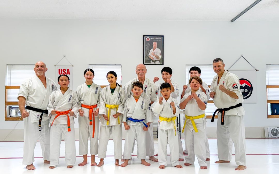 Building Self-Confidence in Teenagers Through Progressive Karate Training