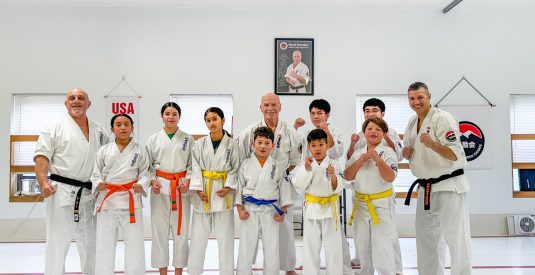 Building Self-Confidence in Teenagers Through Progressive Karate Training