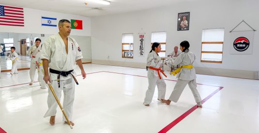 The Role of Parents in Their Child’s Martial Arts Journey - Kanreikai Karate of Connecticut